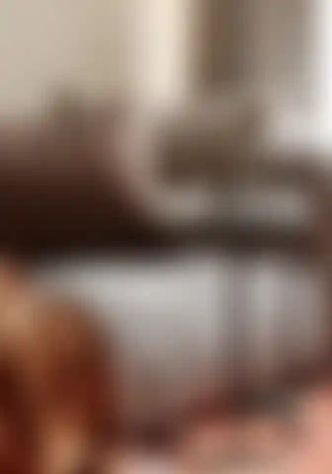 Слайд галереи