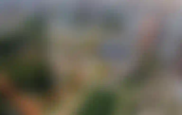 55 школ и детских садов