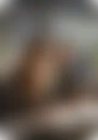 Инвестиции в ваше развитие