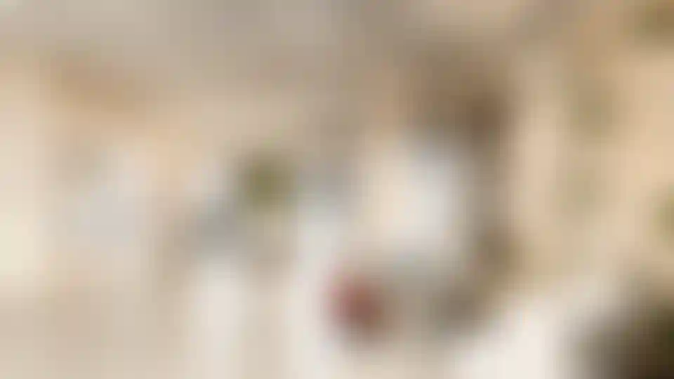 Изображение галереи