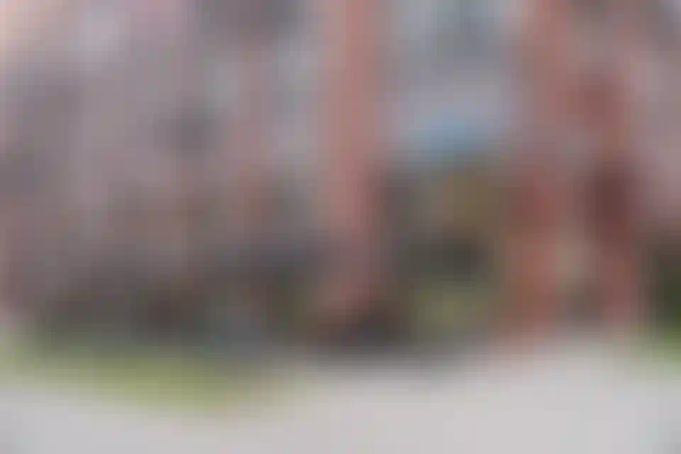 Коммерческие помещенияв атмосферной «Скандинавии»