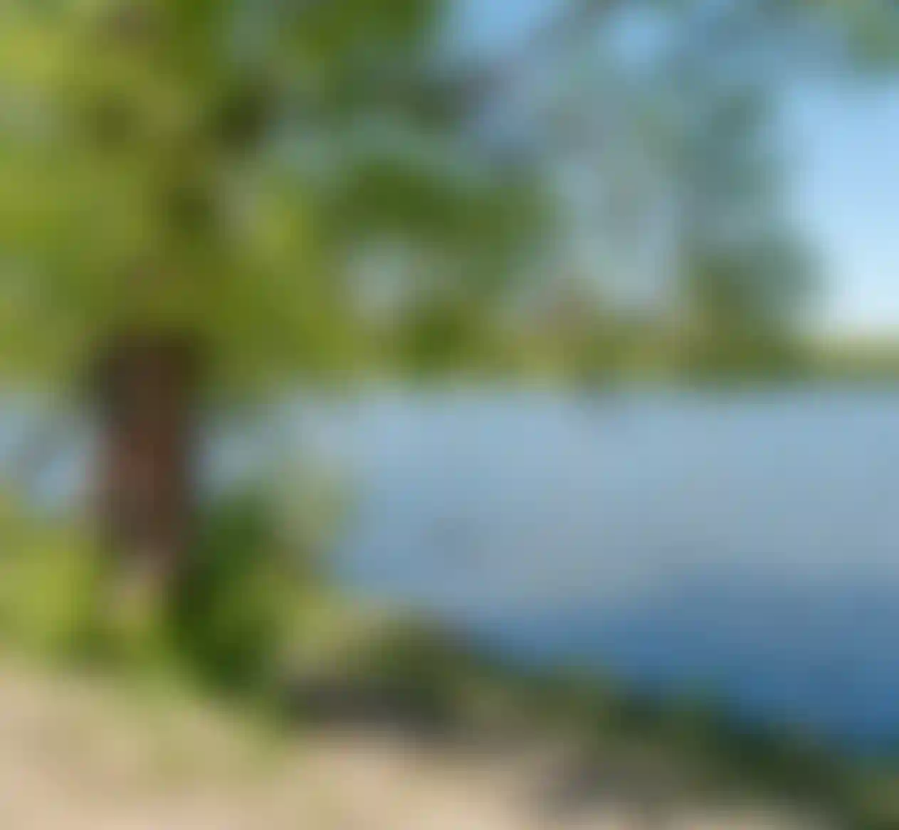 Ивановский пруд