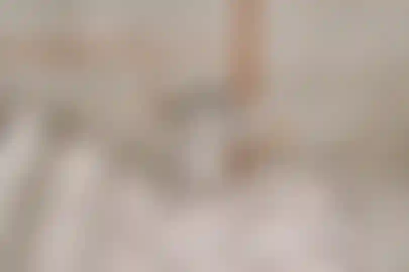 Изображение галереи