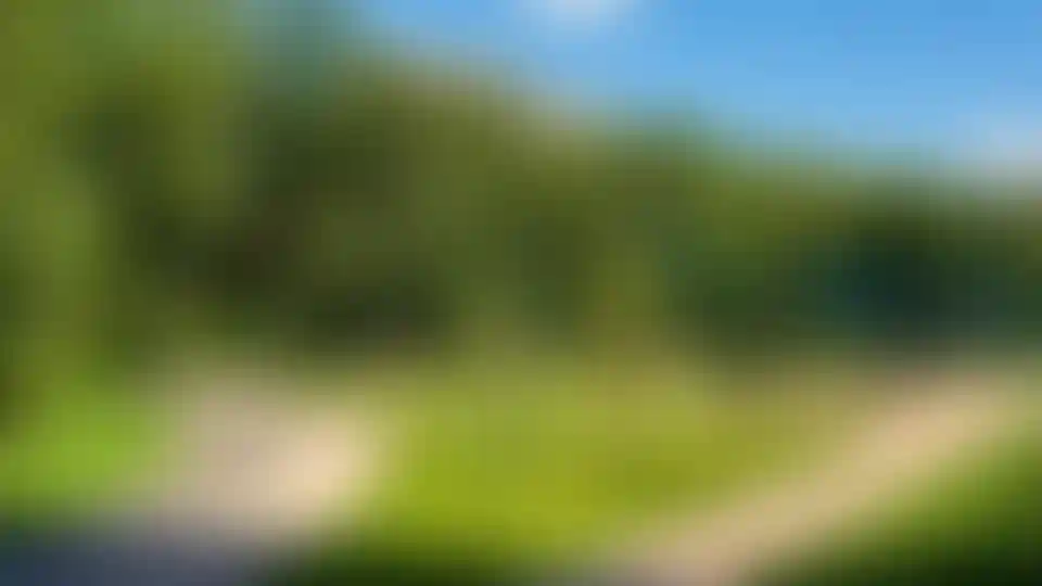 Зелёная линия