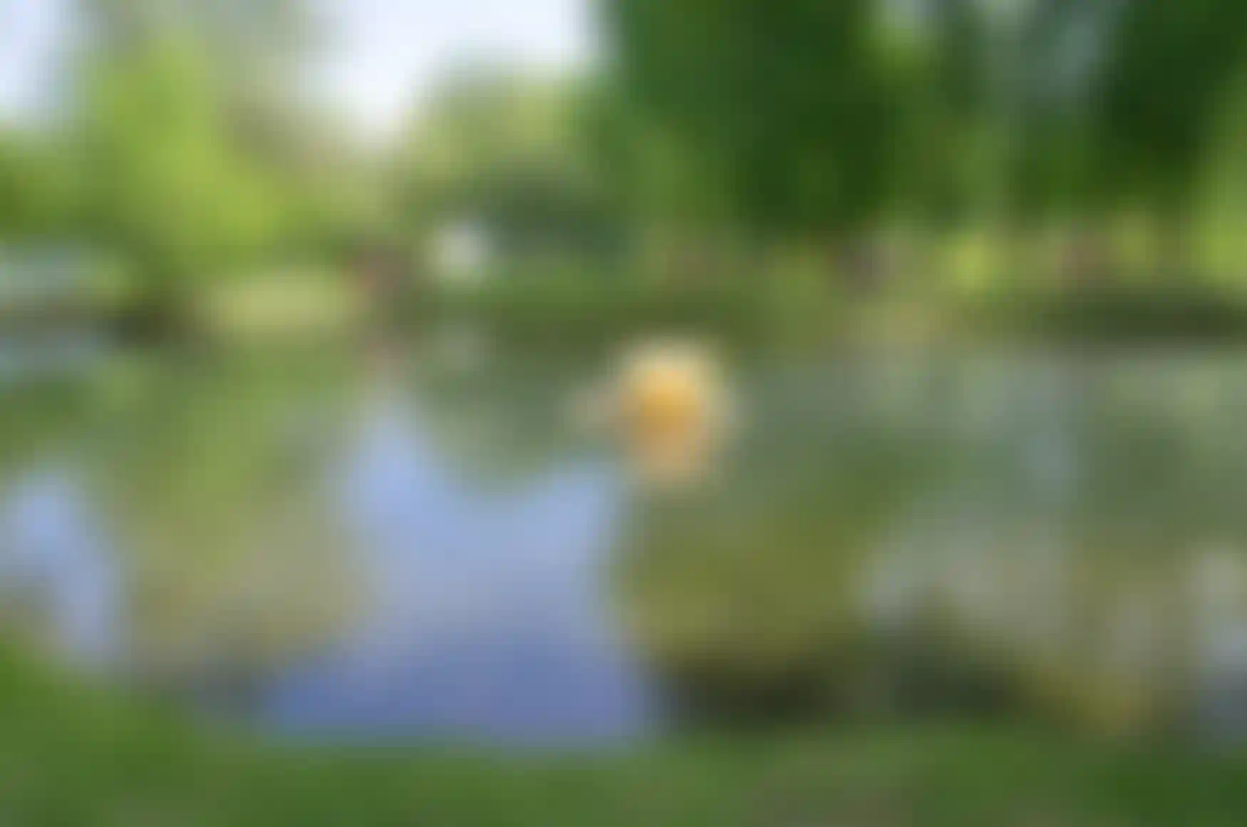 Ивановский пруд