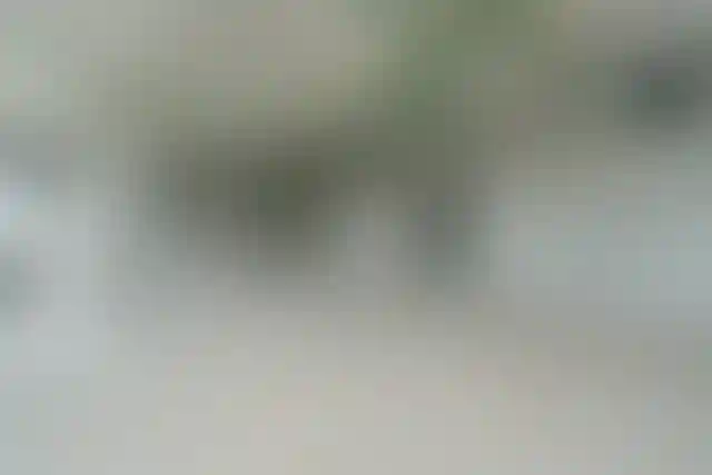 Изображение галереи