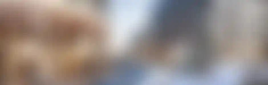 Коммерческая недвижимостьв «Дзен-кварталах»для бизнеса и инвестиций