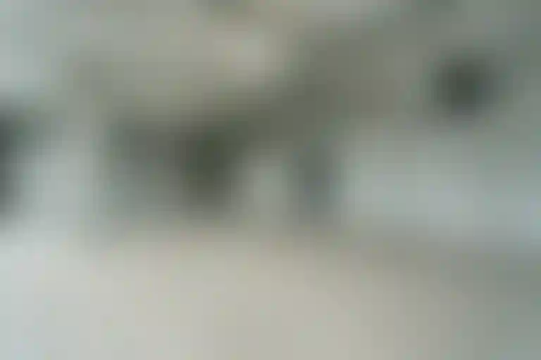 Изображение галереи