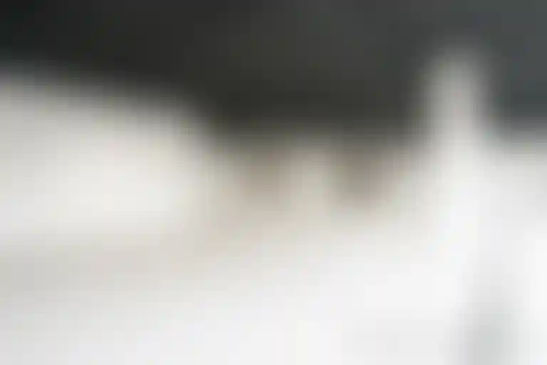 Изображение галереи