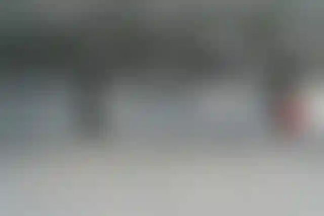 Изображение галереи