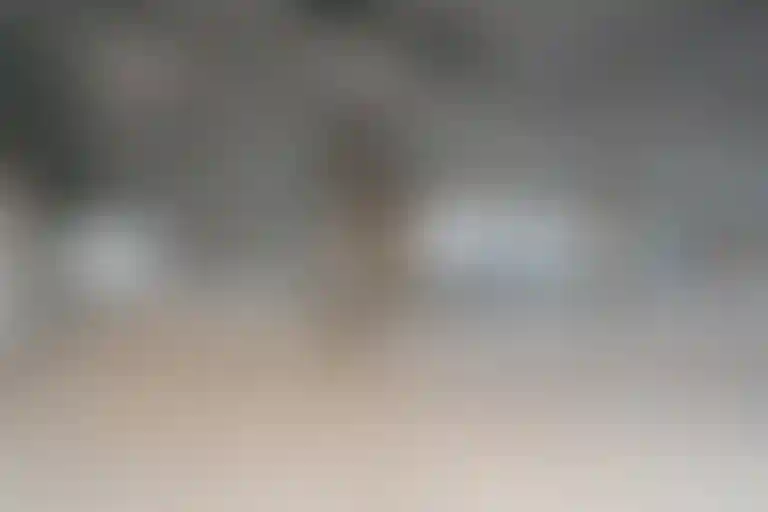 Изображение галереи