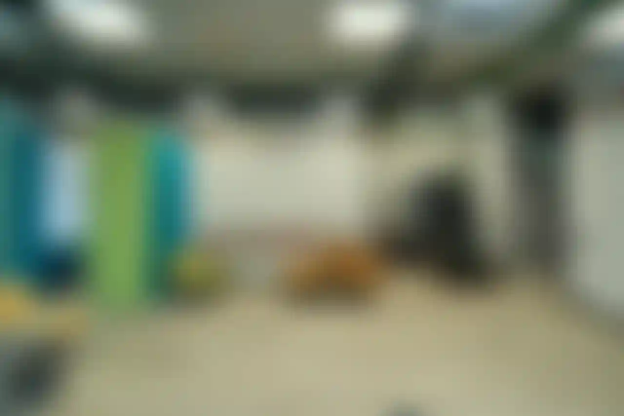 Изображение галереи