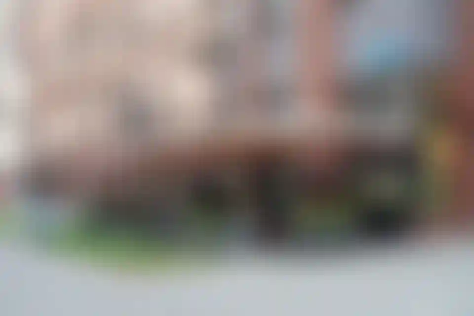 Коммерческие помещенияв атмосферной «Скандинавии»