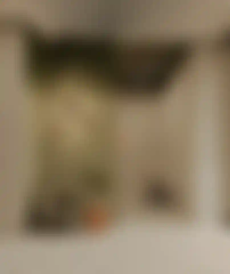 Слайд галереи