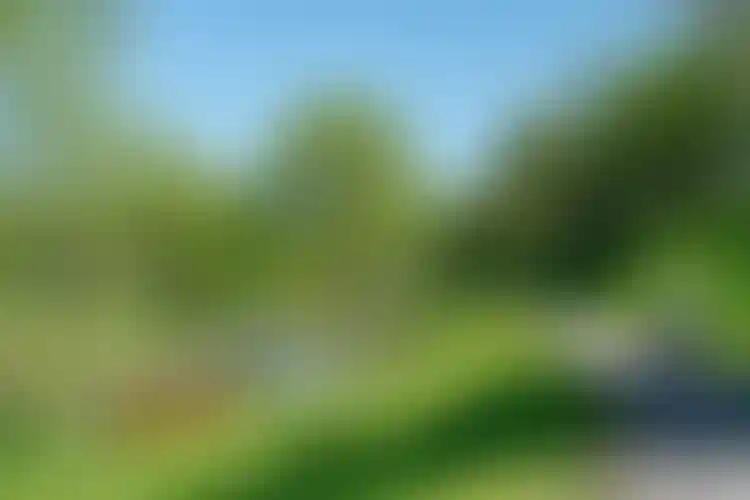 Сеть пешеходных и веломаршрутов