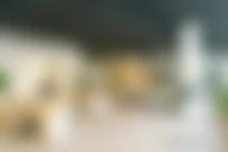 Изображение галереи