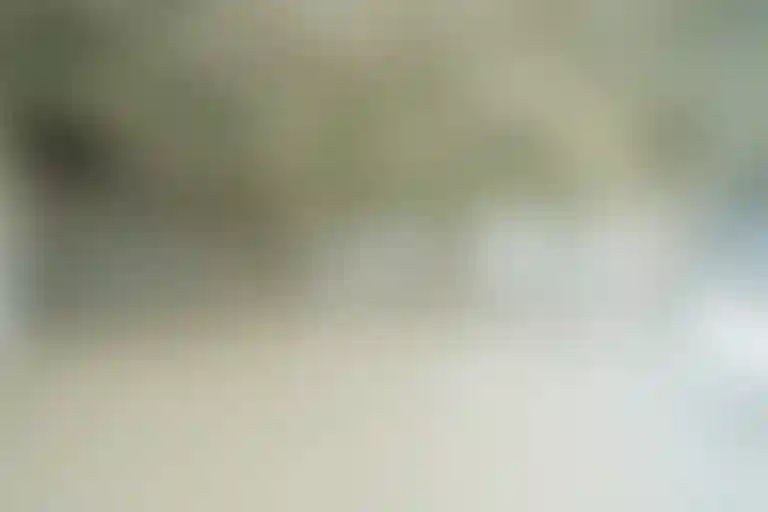 Изображение галереи