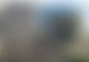 БК «Прокшино»