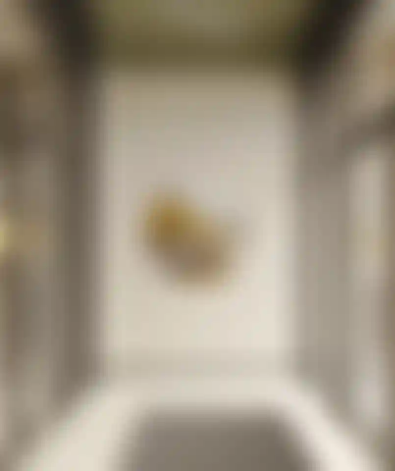 Слайд галереи