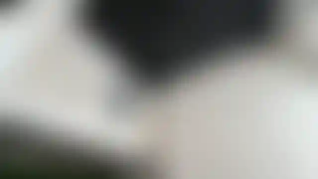 Изображение галереи