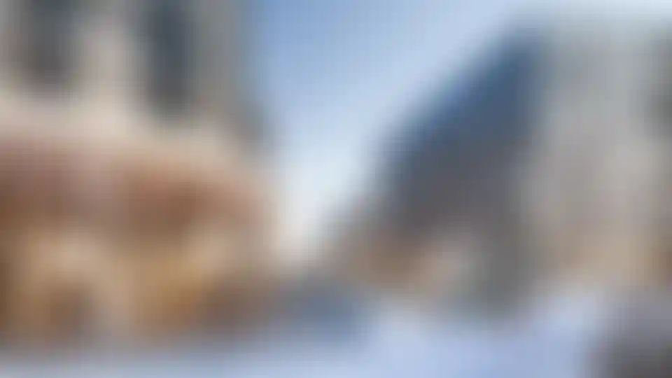 Коммерческая недвижимостьв «Дзен-кварталах»для бизнеса и инвестиций