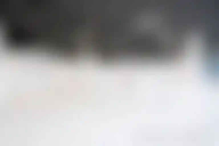 Изображение галереи