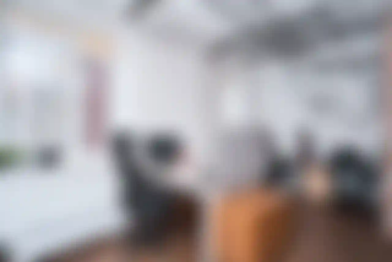 Изображение галереи