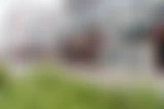 Коммерческая недвижимостьв знаменитых «Испанских кварталах»