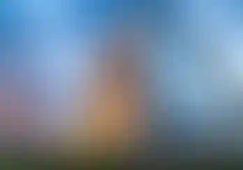 БК «Прокшино»