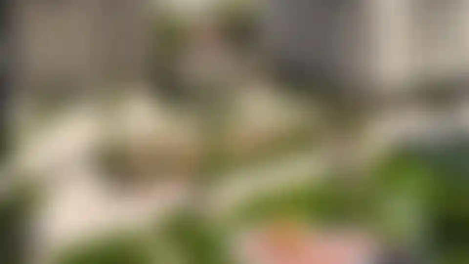 Недвижимость в Южные сады 