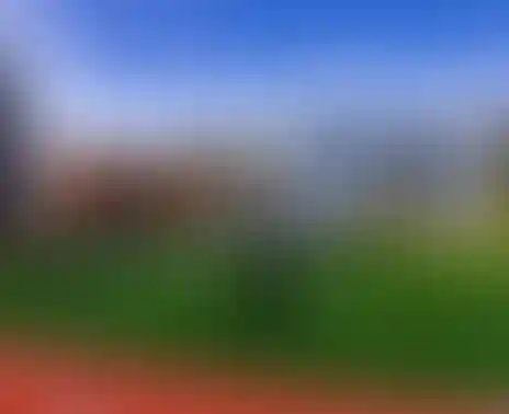 11 детских садов и 7 школ