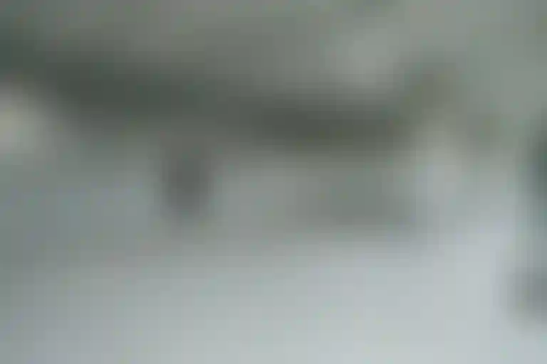 Изображение галереи