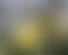 современные школы и детские сады