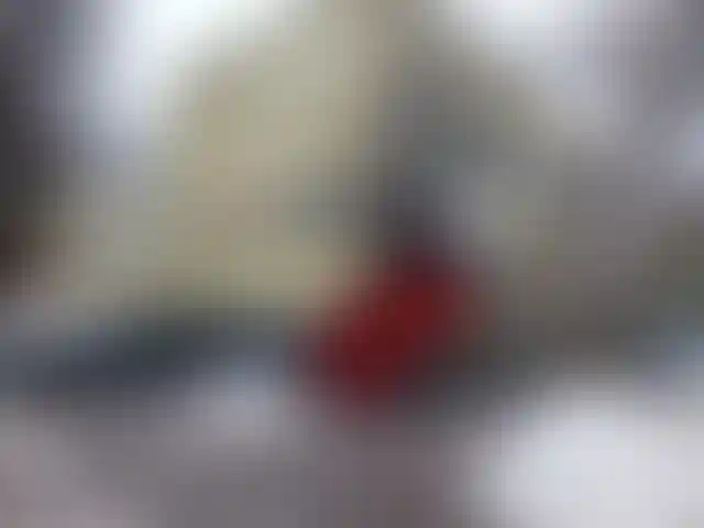 Изображение карточки лота