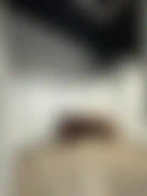 Изображение галереи