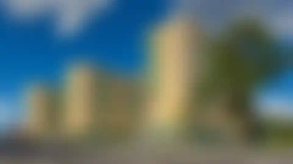 Зелёная линия