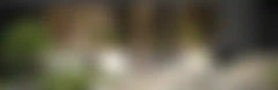 Безопасность