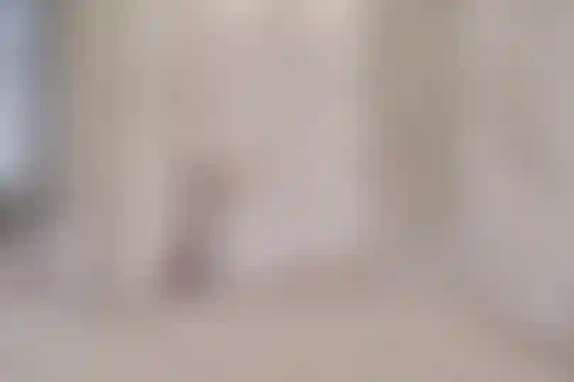 Изображение галереи