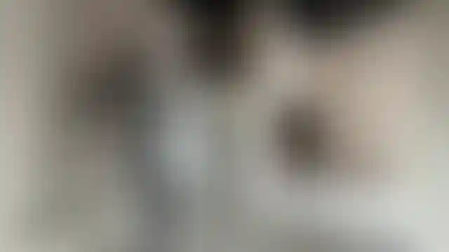 Изображение галереи