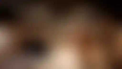 Изображение галереи