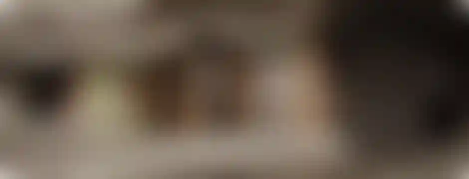 Слайд галереи