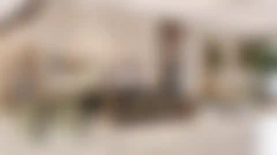 Изображение галереи