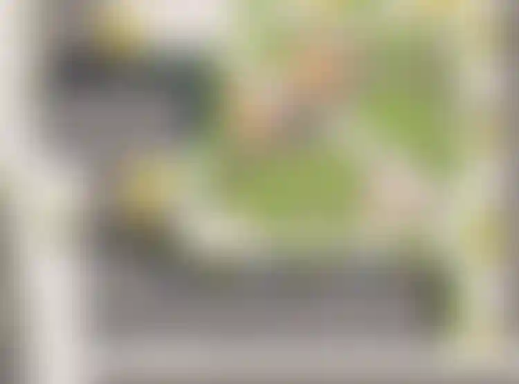 Изображение вида из окна