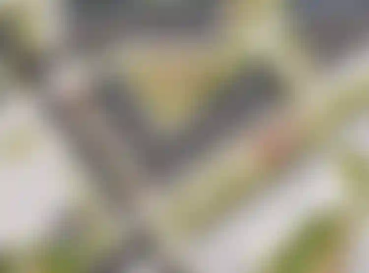 Изображение вида из окна