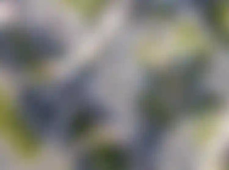 Изображение вида из окна