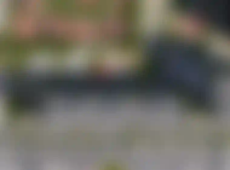 Изображение вида из окна