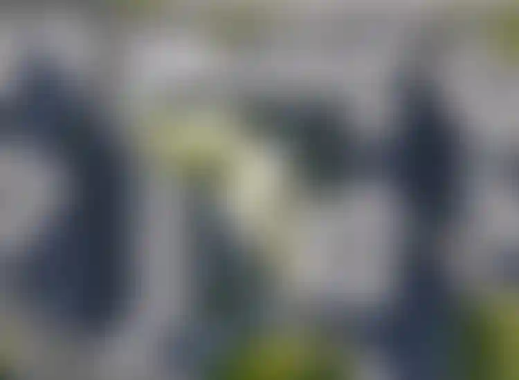 Изображение вида из окна