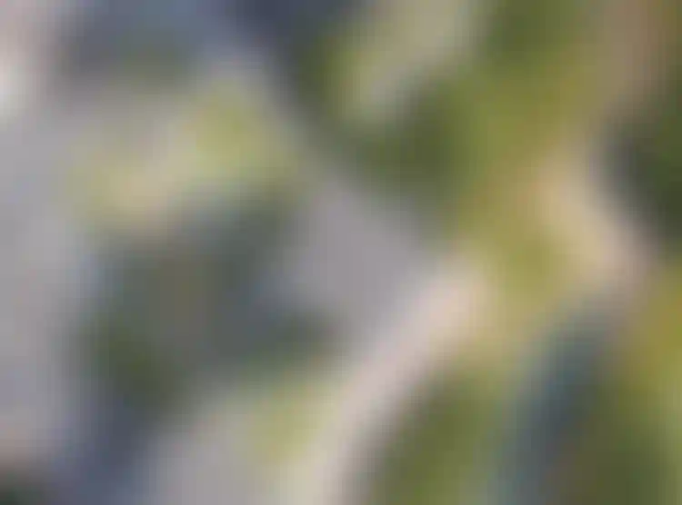 Изображение вида из окна