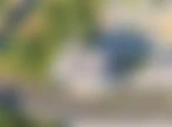 Изображение вида из окна