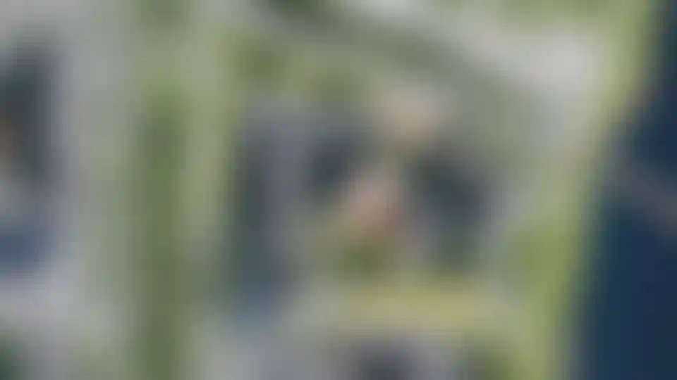 Изображение вида из окна